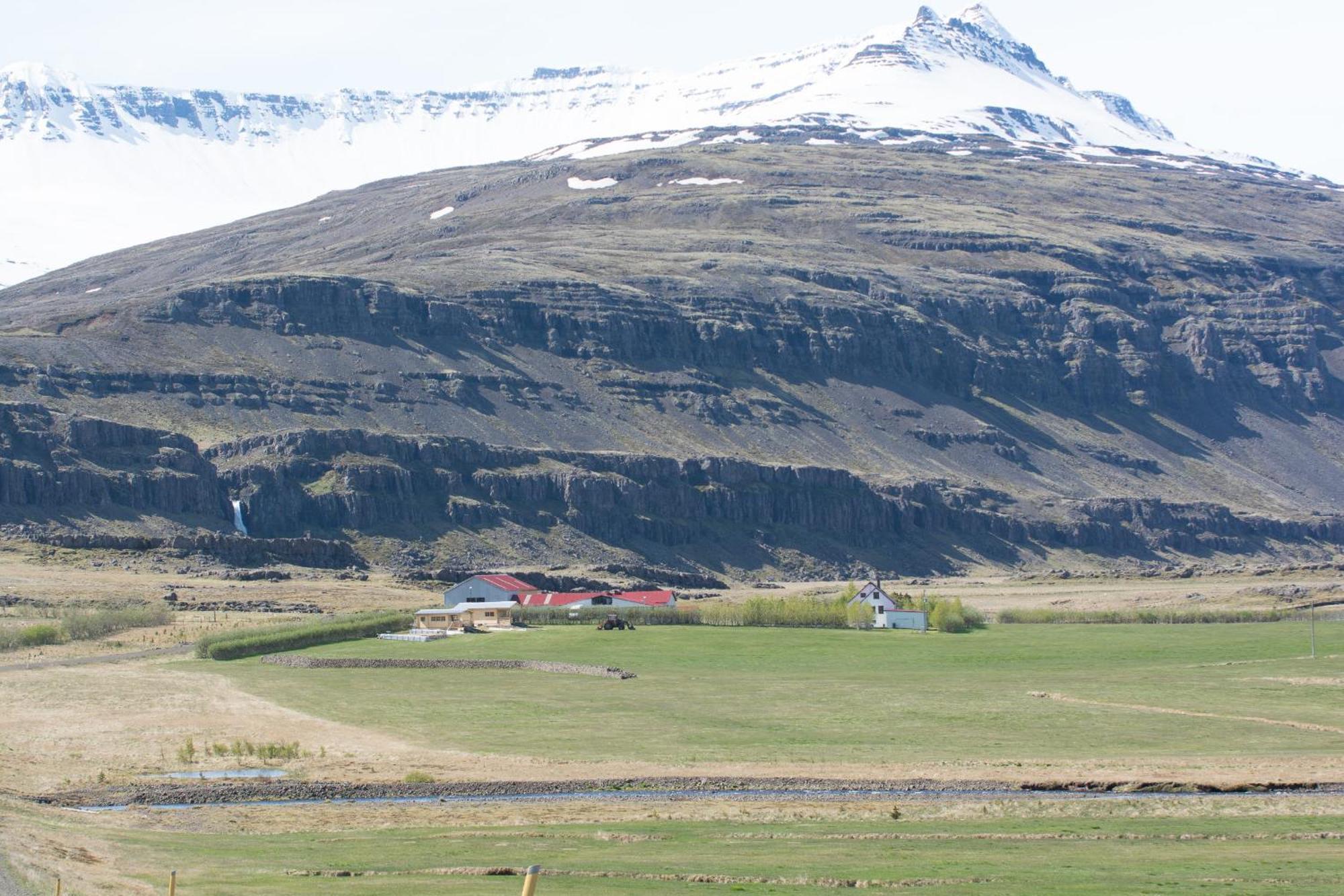 Bragdavellir Cottages Djúpivogur エクステリア 写真